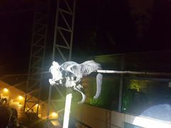 -清迈夜间动物园