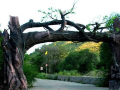 -塞罕坝国家级自然保护区