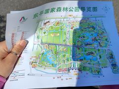 -东平国家森林公园