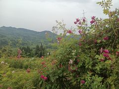 -太阳湾风景区