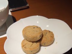 -觀芷隐轩