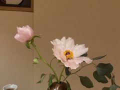 -梅间堂茶馆(绿地缤纷城店)