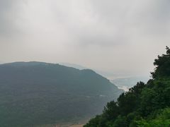 -铁山坪森林公园