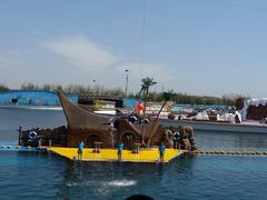 -秦皇岛乐岛海洋王国