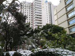 -复旦大学附属华山医院(总院)