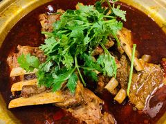 羊排蝎子锅-友乐居羊蝎子(西直门店)