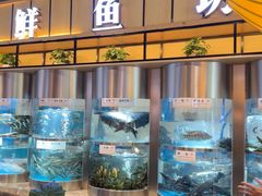 -老船舫·现做活鲜鱼馆(东郊记忆店)
