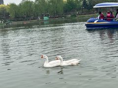 -西海子公园