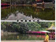 -西双版纳原始森林公园