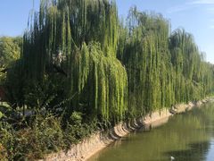 -南翠屏公园