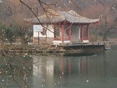 -紫霞湖公园