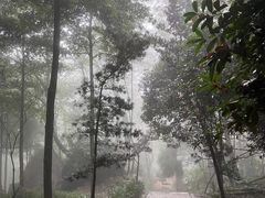 -青城山