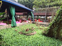 iphone_upload_pic-荷香居(洞企石路店)