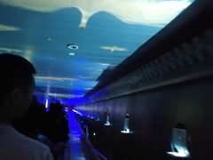 -白鹤梁水下博物馆
