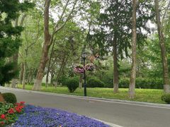 -棒棰岛宾馆景区