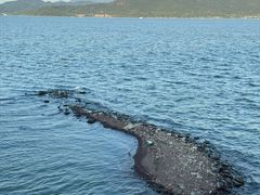 -东钱湖旅游度假区