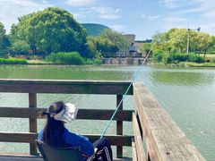 -新江湾城公园