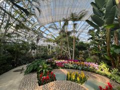 -北京植物园-展览温室