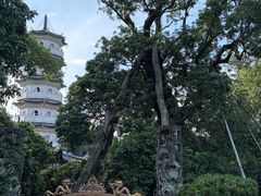 -国恩寺
