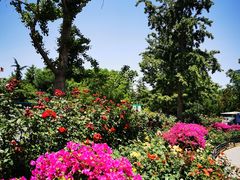 -大兴滨河森林公园