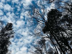 -小丫头餐厅·江浙菜·烧烤(灵隐店)