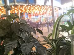 -天山传奇新疆菜(SKLP店)