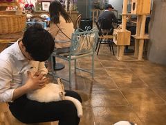 大堂-共舞时光猫咖·狗咖(新街口店)