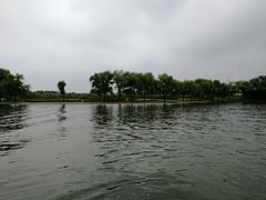 -东方绿舟景区
