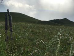 -乌兰布统草原