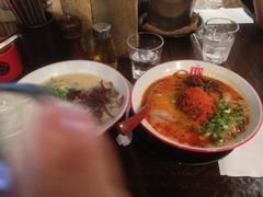 -豚王拉面(铜锣湾店 )
