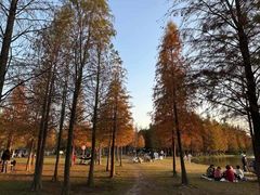 -广东花都湖国家湿地公园