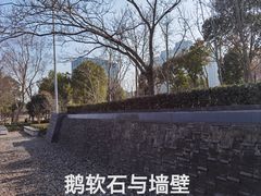 -南翔镇银翔湖公园