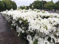 -东京国立博物馆