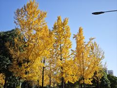 -浙江农林大学(东湖校区)