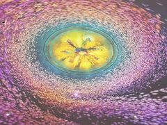 -海合安青岛极地海洋公园