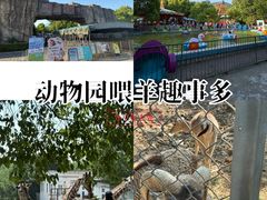 -合肥野生动物园