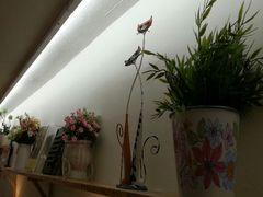 android_upload_pic-猫的天空之城概念书店(西塘古镇店)