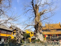-圆通寺