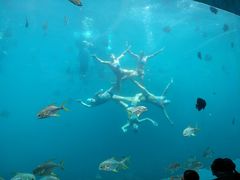 -瑞德姆美人鱼海底演艺主题餐厅(亚龙湾店)