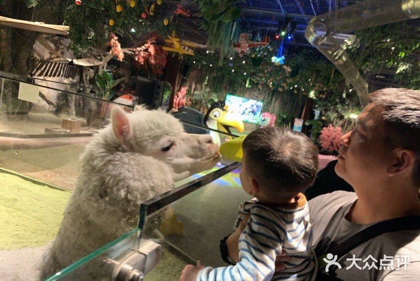 [糖果]AdorableZoo主题动物乐园