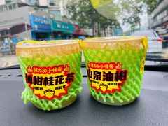 山泉油柑（绿屁屁）-茶力的小怪兽(梅林卓悦汇店)