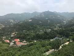 -葛子涧农家宴