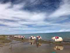 -青海湖国家重点风景名胜区
