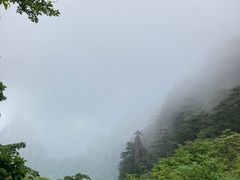 -黄山风景区