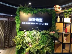 点击看大图 -藤野造型