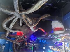 -泉城欧乐堡海洋极地世界