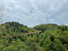 -蜀南竹海景区
