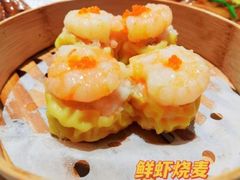 -南美水疗(七莘路店)