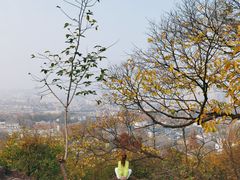 -宝石山