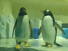 -威海华夏城景区